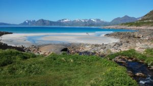 20170613_104533 rorvik