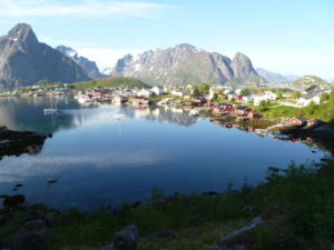 P1040369 reine