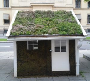 Casa con il tetto in erba