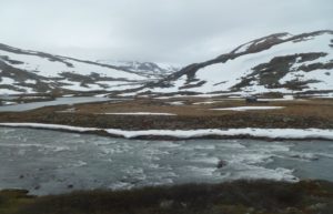 Lungo la Bergen - Oslo (1)