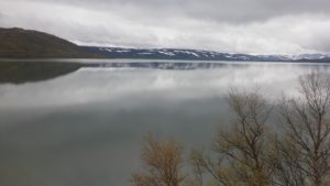 Lungo la Bergen - Oslo (7)
