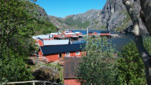 Nusfijord (5)
