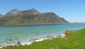 Strandveien (2)