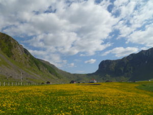 Unstad (2)