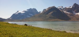 Verso Nusfijord