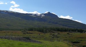Gíslastaðir
