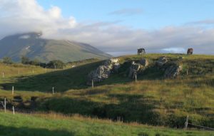 Gíslastaðir
