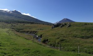 Gíslastaðir
