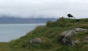 Parco nazionale Snaefellsjokull