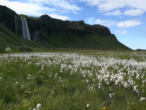 Selijalandsfoss