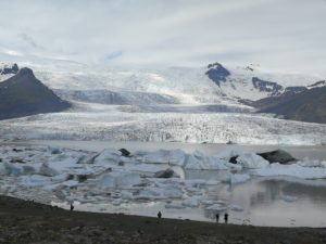 Fjallsarlon